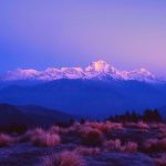 Sunrise over Dhaulagiri from Poon Hill, Anapurna Range, Nepal. Photo by Pete Bracey