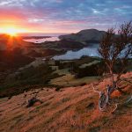 Sunrise on the Otago Peninsular in New Zealand. Photo by Pete Bracey
